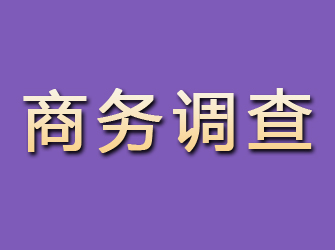 西安商务调查